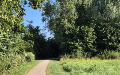 Blog 8 - Grenzen en keuzes