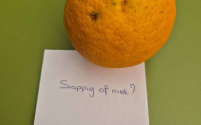 Vacaturetekst - de smaak van een sinaasappel